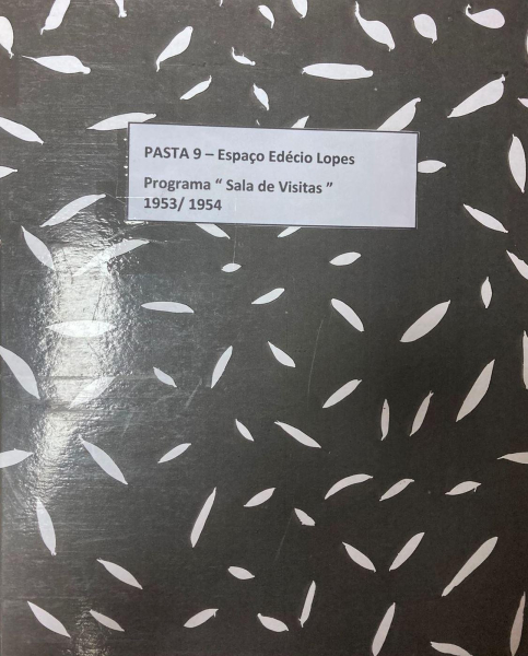 Programa Sala de Visitas - Scripts Incompletos
